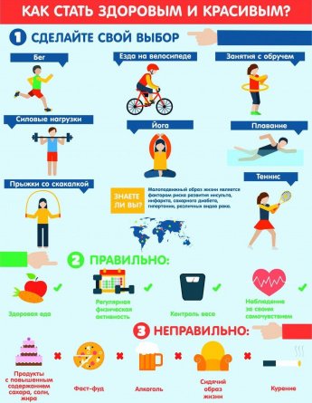 Основные составляющие ЗОЖ