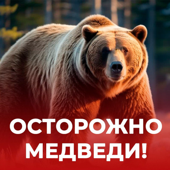 ОСТОРОЖНО, МЕДВЕДИ!