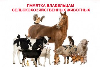 Памятка о мерах по предупреждению заноса возбудителей заразных болезней животных и птиц для граждан, занимающихся содержанием и разведением животных и птиц на территории Белореченского муниципального образования